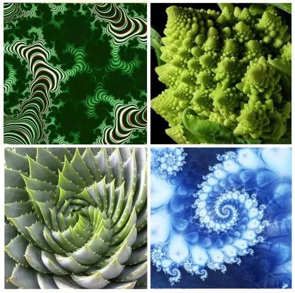 出现幻视怎么回事,老人幻视是怎么回事