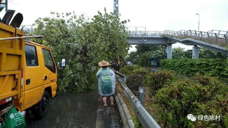 台风天鸽来袭广州 (广东台风天鸽路径)