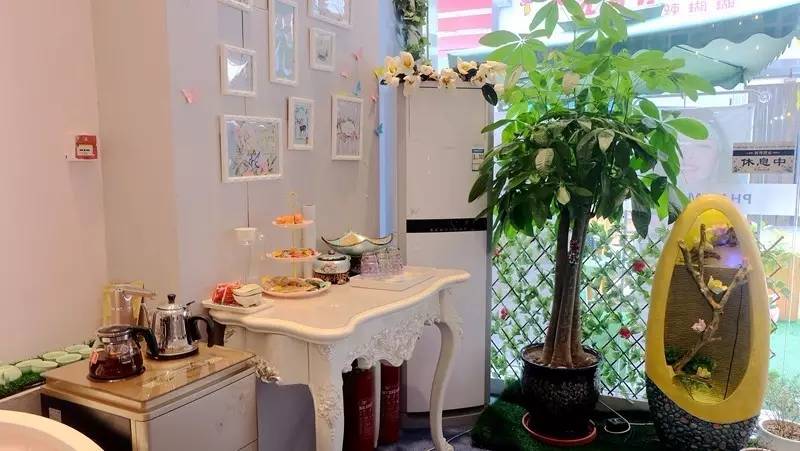 高圆圆用的美容仪,高圆圆王丽坤