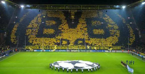 鲁能青训硕果遍布中超,鲁能与多特蒙德