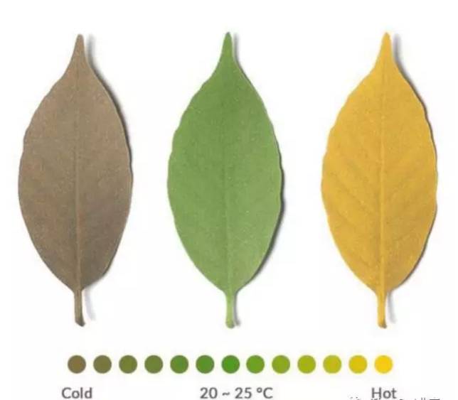 七夕送什么?不用动脑壳,照到这篇买就行了!