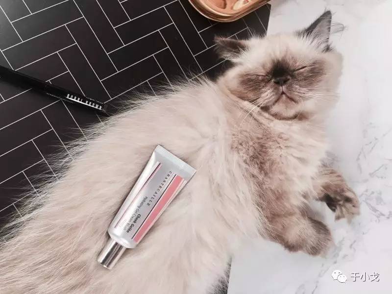 celine王菲时期,王菲和celine