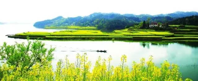 创建全域旅游示范,创建国家全域旅游示范区视频