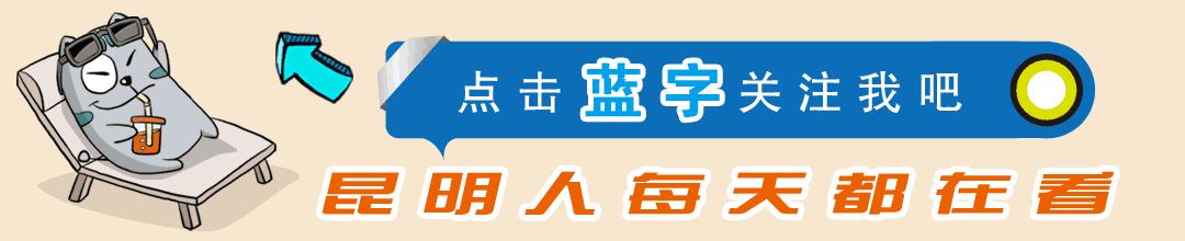 昆明优质私立幼儿园排名,昆明一级二类幼儿园名录