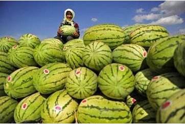 宁夏必买的十大特产排名前十,g20峰会中国国宴菜