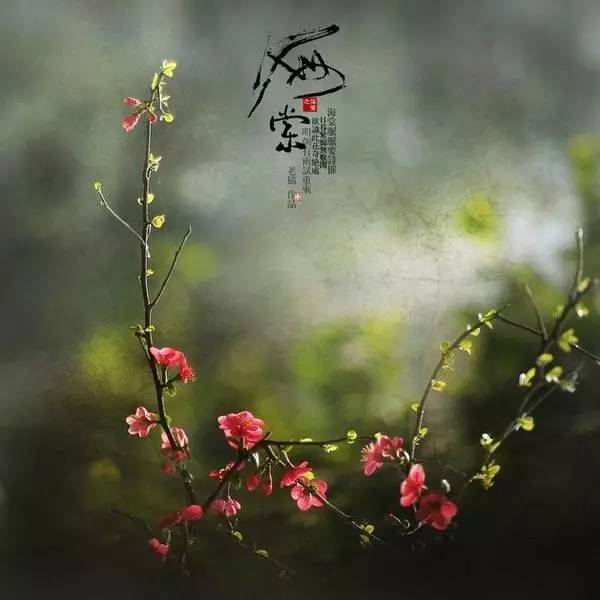 绉嬪ぉ鏍″洯缇庢枃,鍜搁槼鏍″洯缇庢枃瀛︾敓