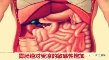 你的脾胃虚弱吗,你的肠胃