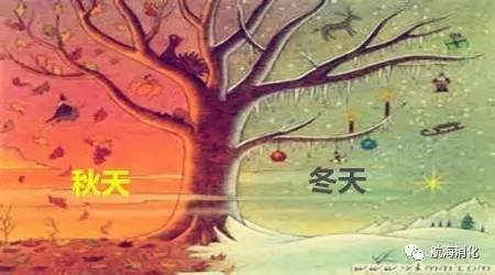 你的脾胃虚弱吗,你的肠胃