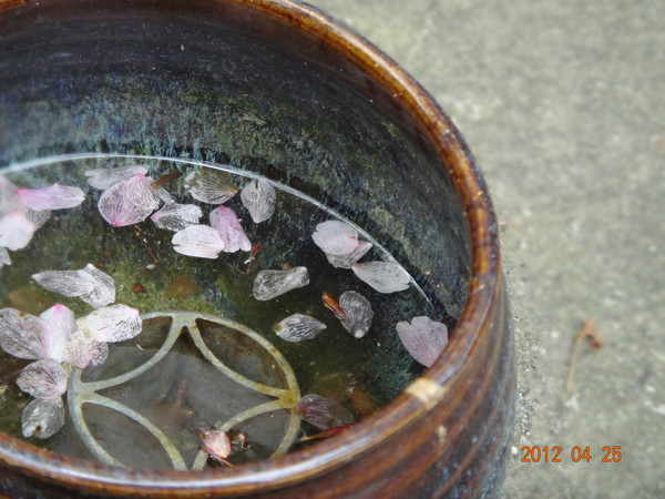 7天日本自由行多少钱,日本七天游自由行