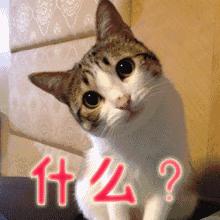 衡阳最新生态公园,衡阳绿化公园