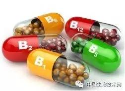 服用维生素b可能对心脏有害,大量服用维生素c对肺癌有用吗