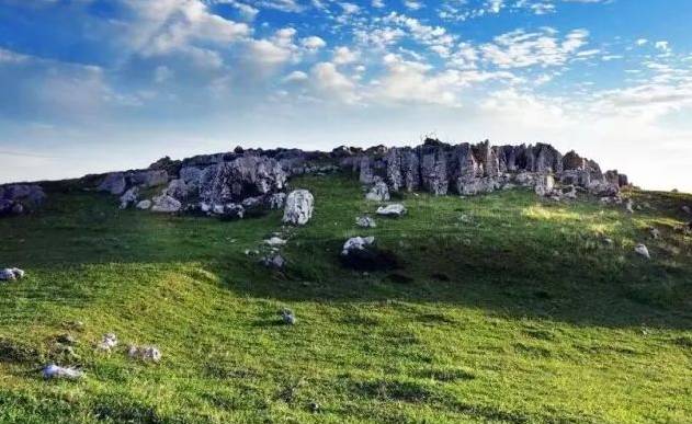 鏂囨槑瀹滄槍,鏂囨槑绀间华鏈夊鐭ヨ瘑闂瓟