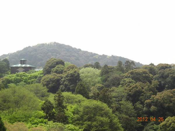 7天日本自由行多少钱,日本七天游自由行