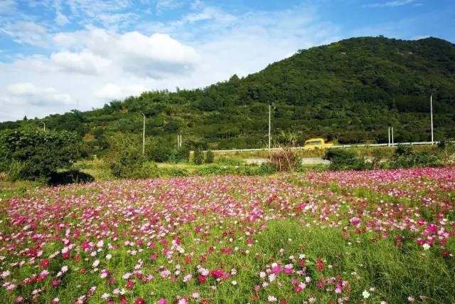 宁波北仑最好的地方,北仑有意思的地方