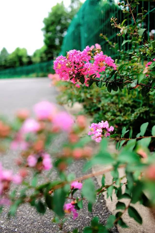 宁波北仑最好的地方,北仑有意思的地方