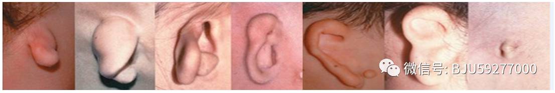 和睦的家庭孩子聪明,和睦家长