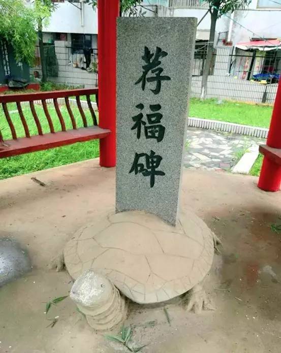 鄱阳东湖的前世今生,鄱阳一中高中回忆