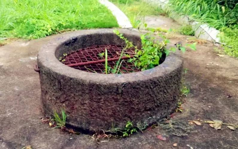 鄱阳东湖的前世今生,鄱阳一中高中回忆