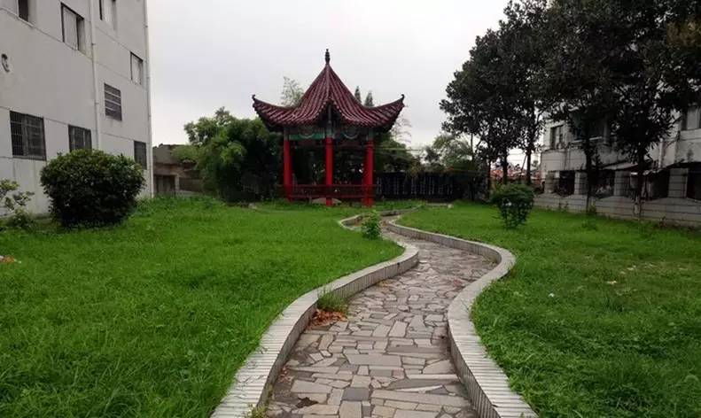 鄱阳东湖的前世今生,鄱阳一中高中回忆