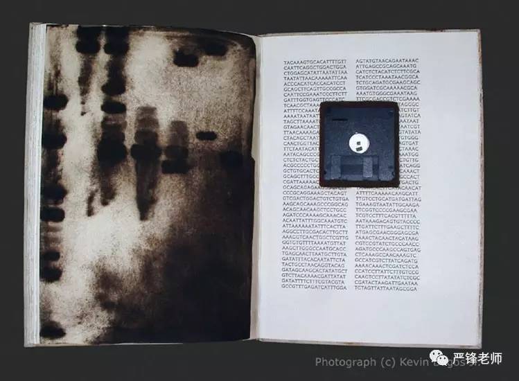 我的电子书在线阅读,我的电子回忆录繁体字