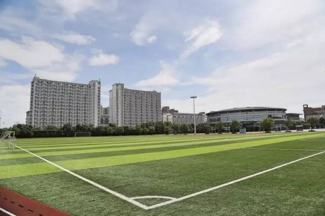 下沙中学第39届运动会,全国的学生运动会2021