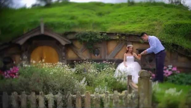 悉尼妈妈给孩子喂狗粮；国家*党**承诺延长带薪产假；中国人纽村扎堆拍婚纱照；哈根达斯正式进入NZ；澳洲留学生代购收入惊动媒体