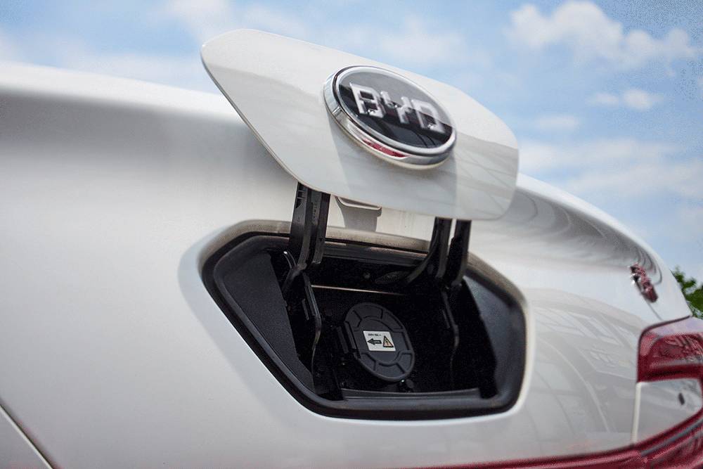 免费的午餐都有什么,免费的午餐真的是又香又好吃