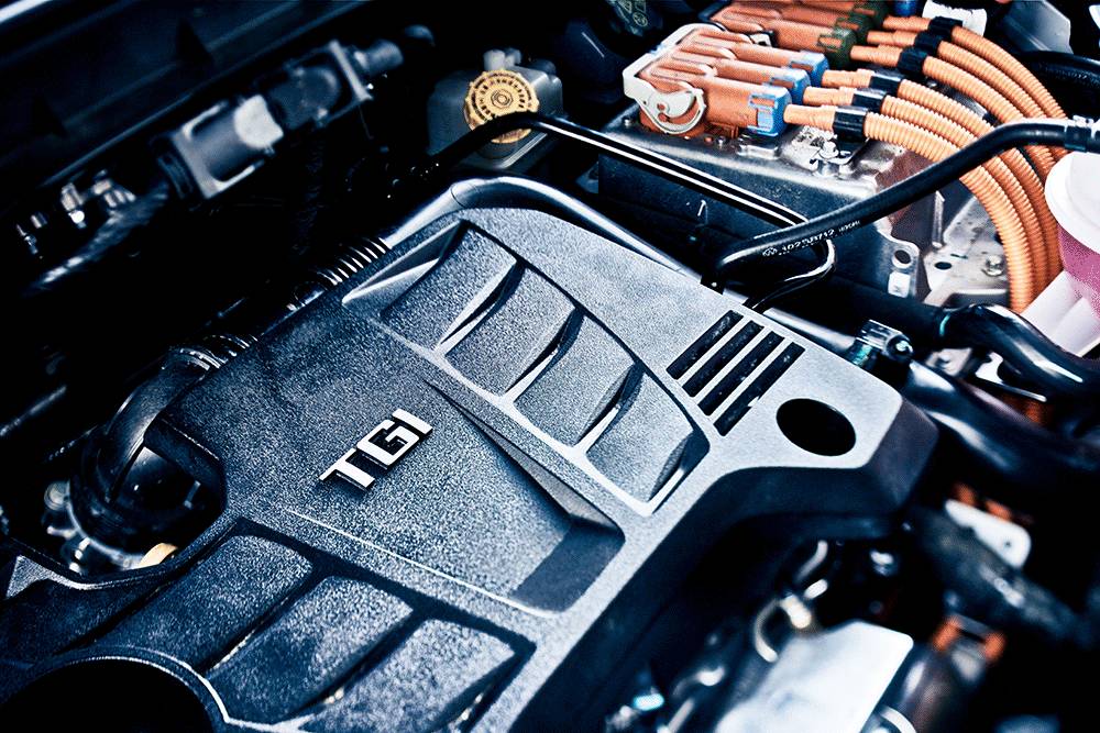 免费的午餐都有什么,免费的午餐真的是又香又好吃