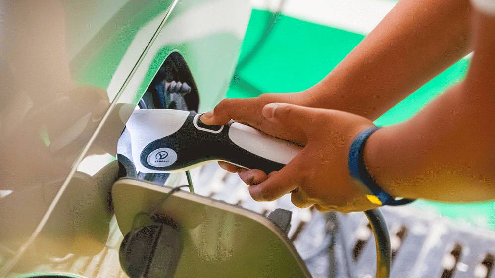 免费的午餐都有什么,免费的午餐真的是又香又好吃