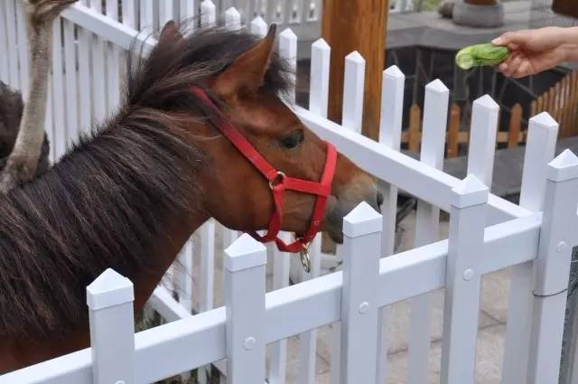 青岛温泉度假酒店便宜,即墨最大的温泉度假酒店