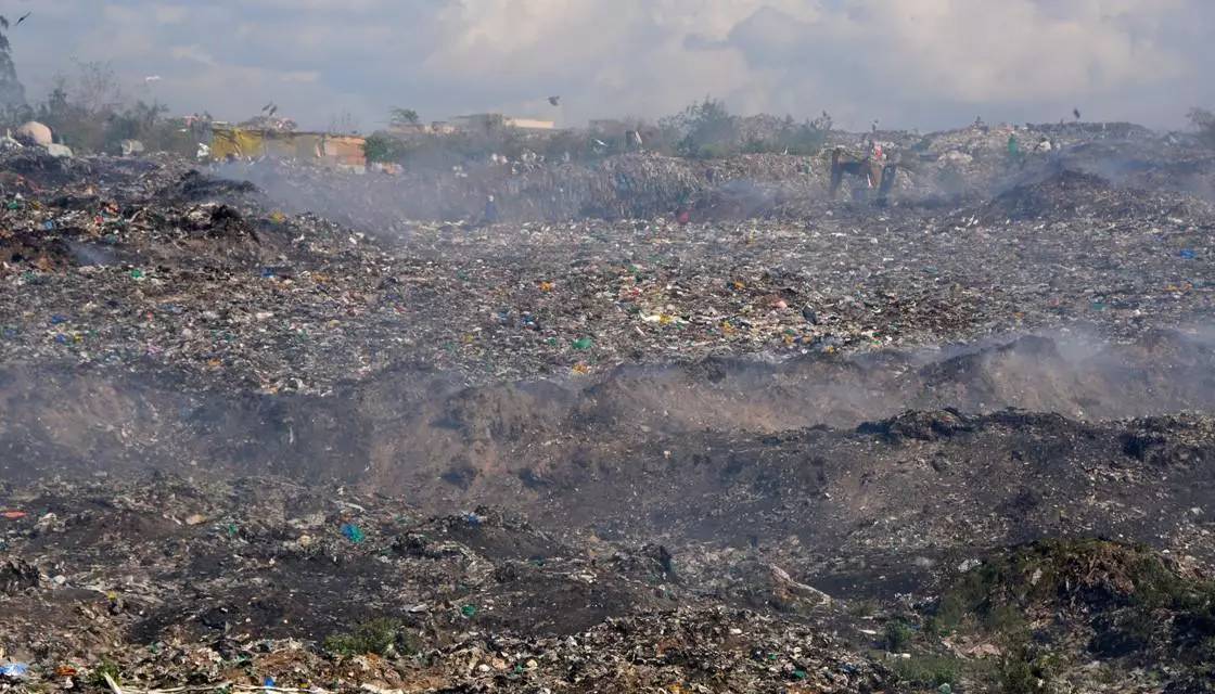 悉尼妈妈给孩子喂狗粮；国家*党**承诺延长带薪产假；中国人纽村扎堆拍婚纱照；哈根达斯正式进入NZ；澳洲留学生代购收入惊动媒体