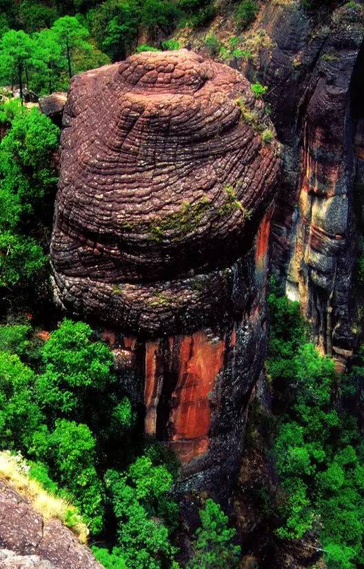 「新声快讯」云南世博集团将整体退出丽江老君山景区开发/丽江民专要代表云南参加全国青少年足球联赛啦！……