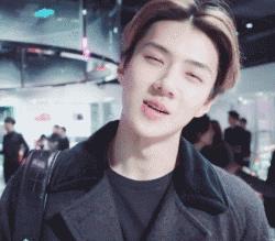 撩爱豆的情话小段子,爱豆撩人土味情话