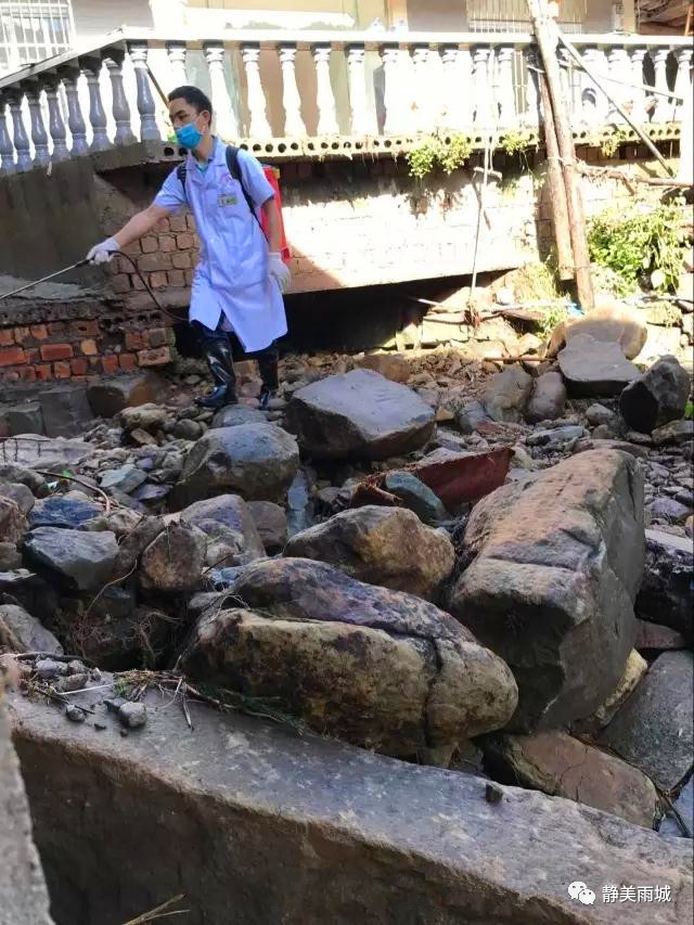 汛后疾控消杀工作,汛后防疫消杀工作开展情况