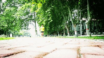 压缩腿套有用吗,小腿压缩套测评