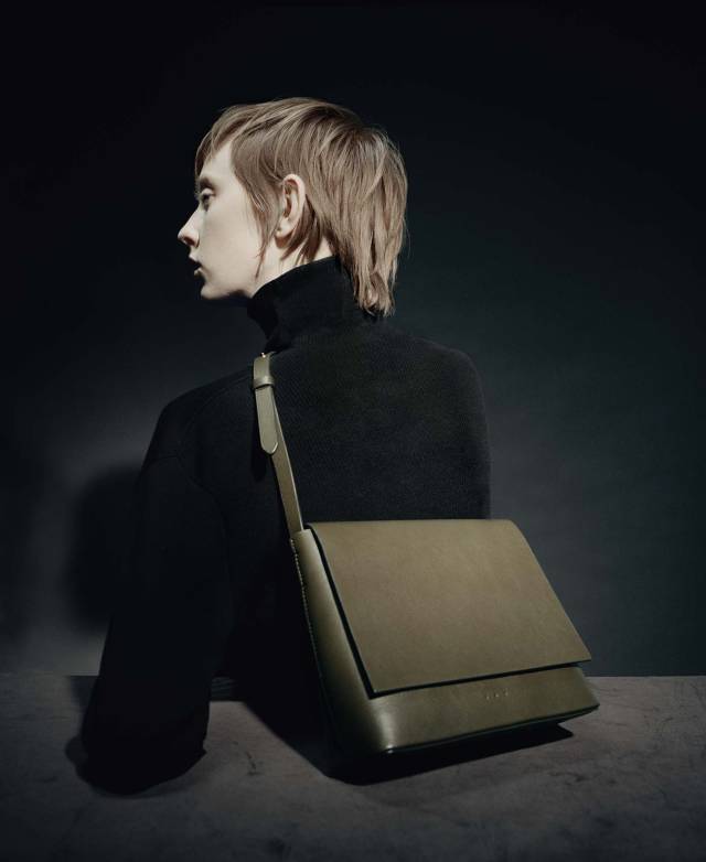 celine王菲时期,王菲和celine