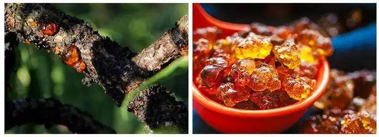 桃胶软软糯糯的很治愈,桃胶即食推荐