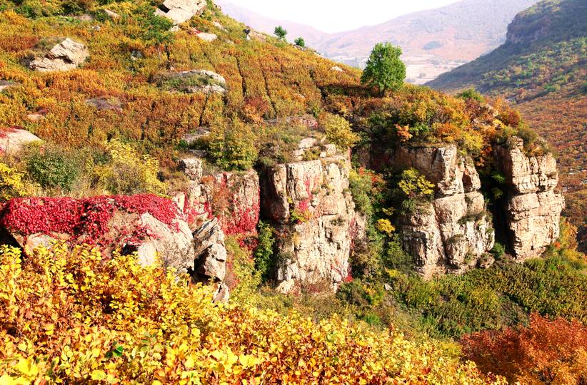 弓长岭夜景比较美的地方,弓长岭景色