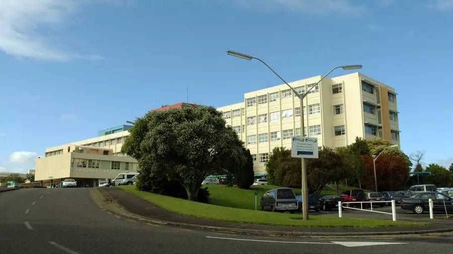 悉尼妈妈给孩子喂狗粮；国家*党**承诺延长带薪产假；中国人纽村扎堆拍婚纱照；哈根达斯正式进入NZ；澳洲留学生代购收入惊动媒体