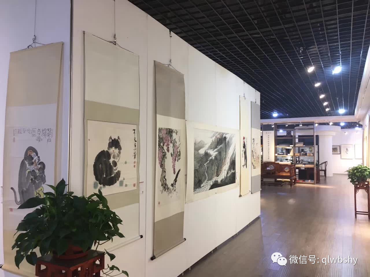 山东蚨第雅2017季夏拍卖会27日完美收官