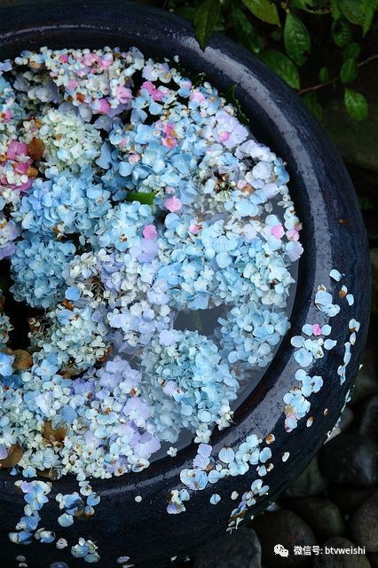 养生堂视频祛痰湿,北京卫视养生堂祛痰湿方子视频