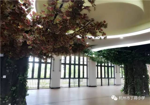 枣园学校新校区,枣园新校区