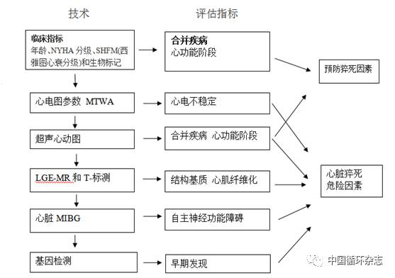 「ESC2017」刘文玲：EF值降低是猝死危险分层的绊脚石？