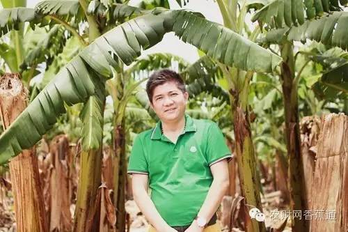 中国种植匠龙康广：农业能人，香蕉“名匠”