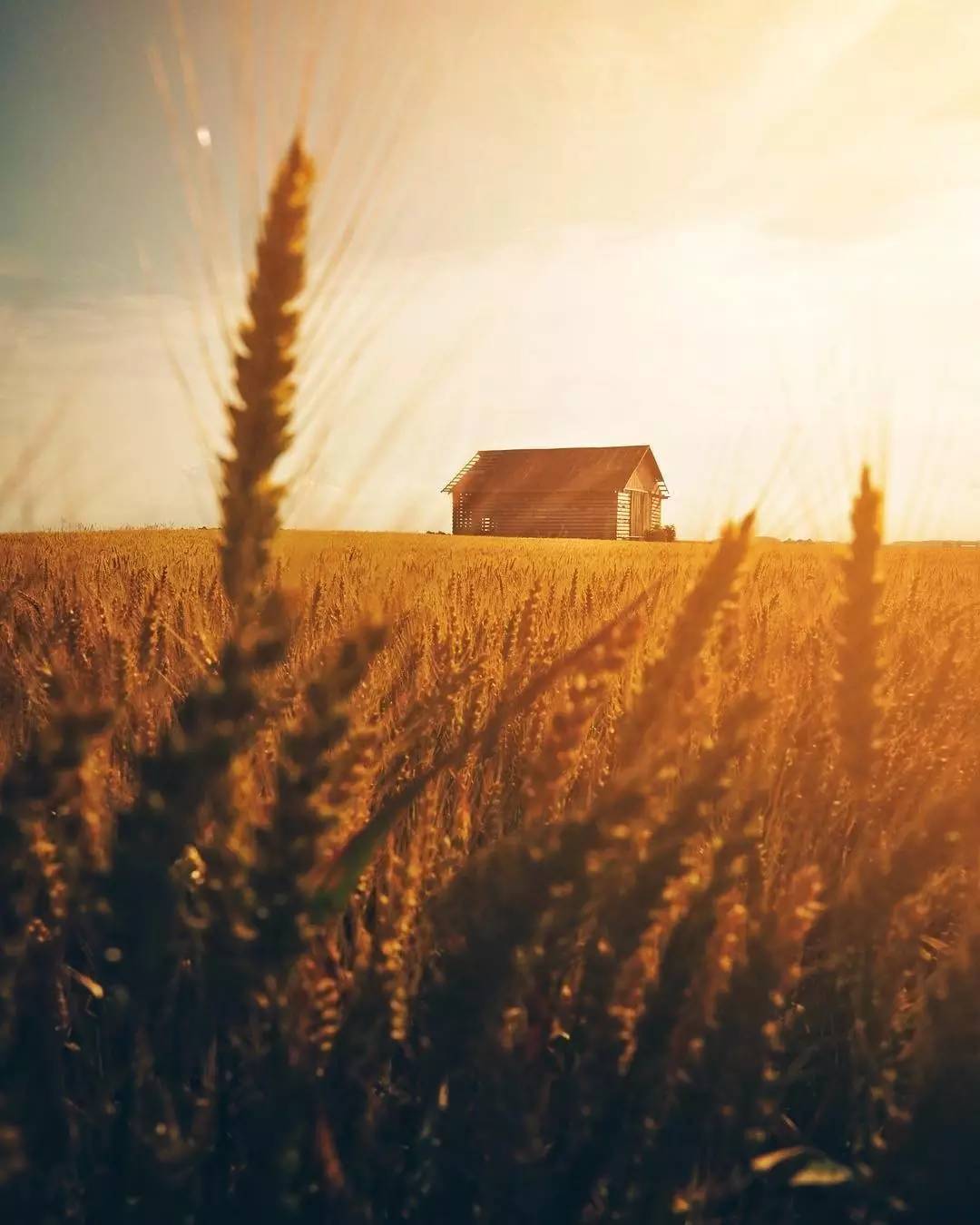 你有过被盗经历吗,你有过被盗图的经历吗