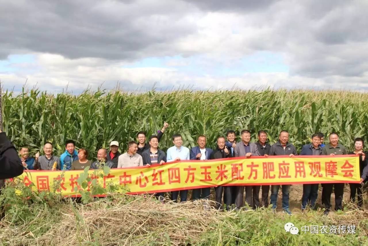 中盐安徽红四方肥业股份有限公司,中盐安徽红四方有机肥