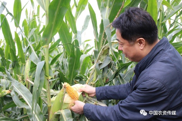 中盐安徽红四方肥业股份有限公司,中盐安徽红四方有机肥