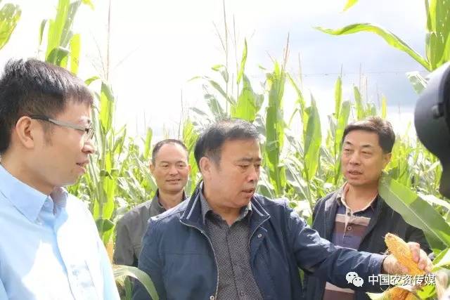 中盐安徽红四方肥业股份有限公司,中盐安徽红四方有机肥