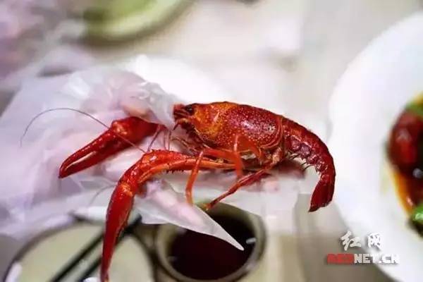 长沙哪里的正宗虾最好,全长沙最好吃的湘菜馆