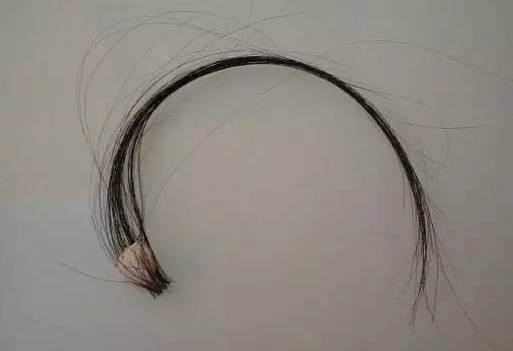 剁手团｜掉头发？轻松搞定这个烦人的小妖精！